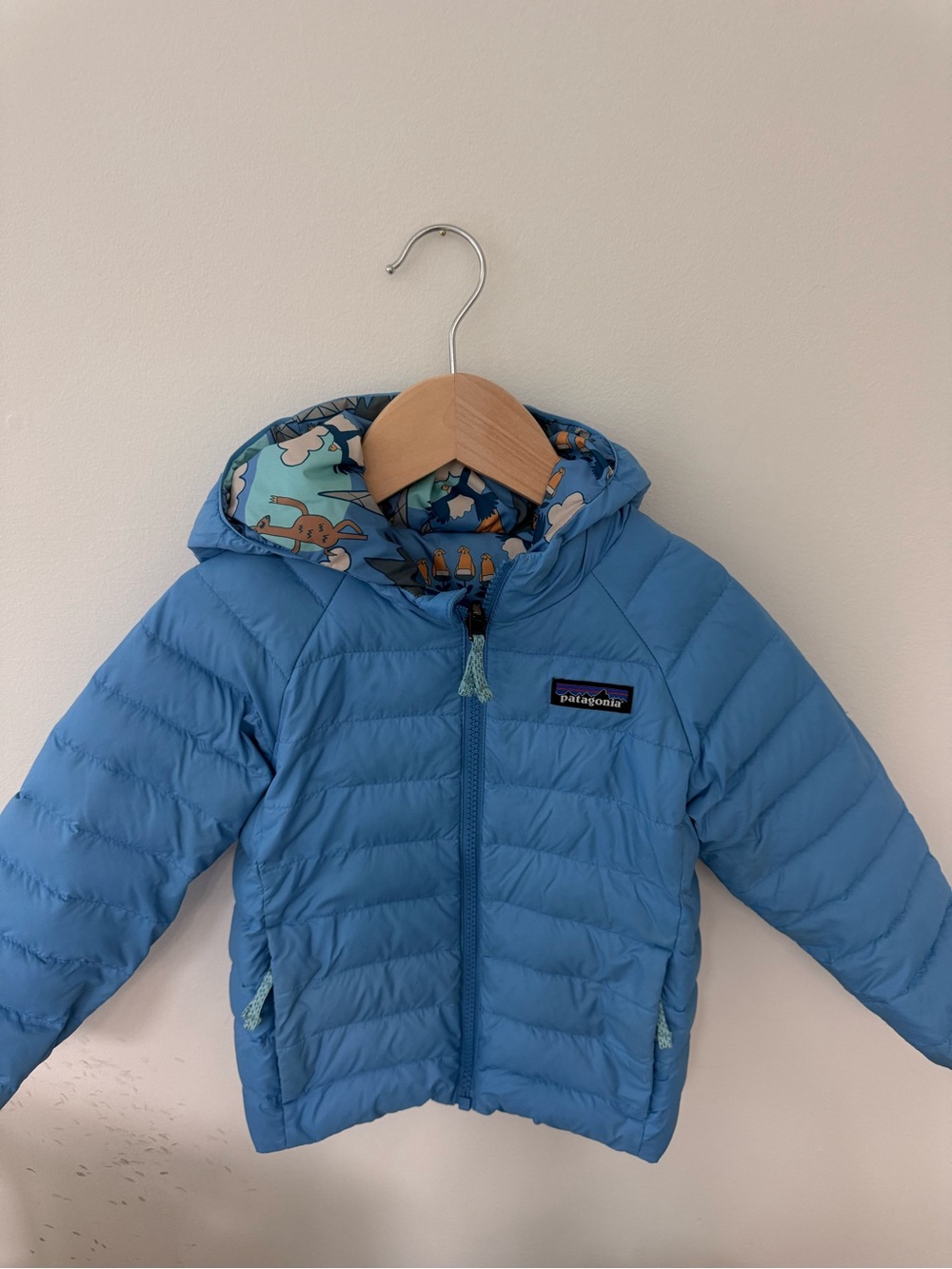 Patagonia Kids Light Sky Blue Hooded Puffer Jacket with Printed Lining